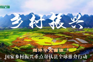 海外华文媒体国家乡村振兴重点帮扶县全球推介行动