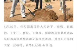 总书记植绿寄厚望 乐昌“茶杜共生”模式绘就乡村振兴共富新图景