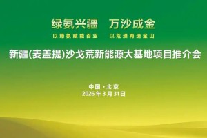 新疆麦盖提沙戈荒特大型新能源基地项目推介会成功举办